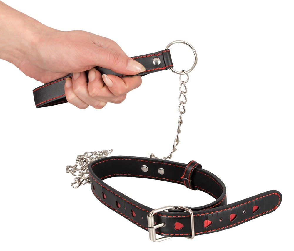Collar and Leash - Afbeelding 4