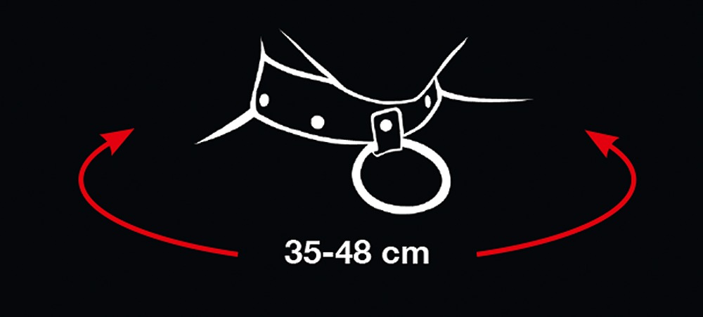 Collar and Leash - Afbeelding 7